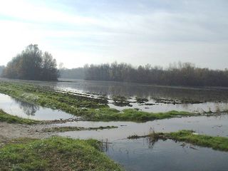 Photo de la Crue des Sorgues de novembre 2000 - Inondation du quartier du Campsec à Bédarrides par remontée de la nappe.
